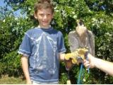 S & D Falconry - Solihull