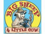 Big Sheep & Little Cow Farm