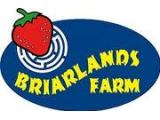 Briarlands Farm - Stirling