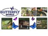 Butterfly & Fountain World - Wootton