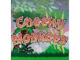 Cheeky Monkees Softplay - Clyde Valley