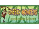 Cheeky Monkeys Indoor Play Centre - Ballyclare