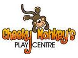 Cheeky Monkeys Play Centre - Radstock