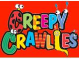 Creepy Crawlies Adventure Playsite - York