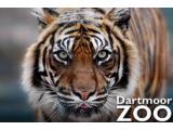 Dartmoor Zoological Park - Plymouth