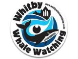 Whitby Whale Watching Centre