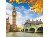 London in One Day Tour