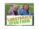 Lurgybrack Open Farm  - Letterkenny