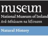 National Museum of Ireland - Natural History - Dublin