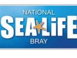 National Sea Life Centre - Bray