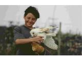North East Falconry Centre - Aberdeen