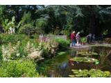 University of Bristol Botanic Gardens