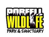 Porfell Wildlife Park & Sanctuary - Liskeard
