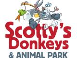 Scotty's Donkeys & Animal Park