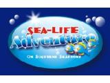 Sealife Adventure - Southend on Sea