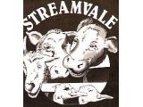 Streamvale Farm - Belfast