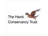 The Hawk Conservancy - Andover