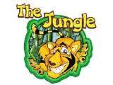 The Jungle - Warrington