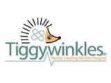 Tiggywinkles - Aylesbury