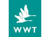 WWT Welney Wetland Centre